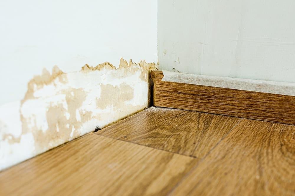 Wall Damage Repair