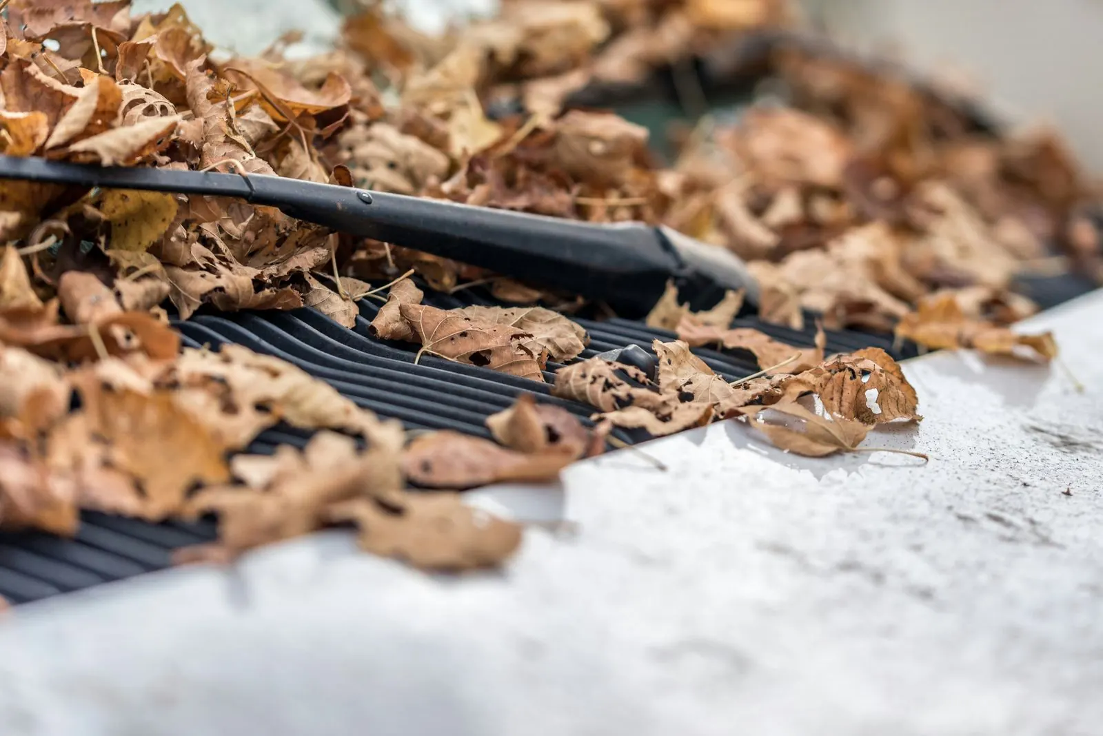Dry brown leaves piled on top of a gutter guard along a roof edge