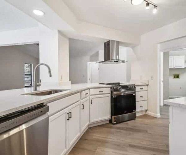 modern kitchen renovation SF